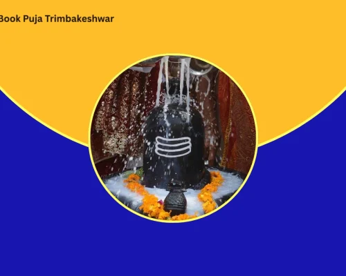 Signs That You Need Rudrabhishek Puja