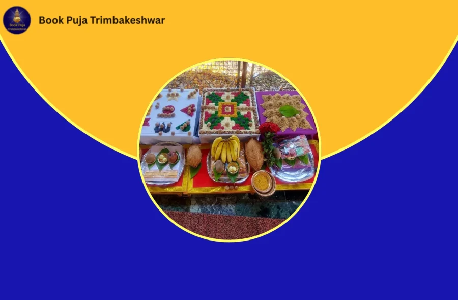 Signs and Symptoms Indicating the Need for Narayan Nagbali Puja